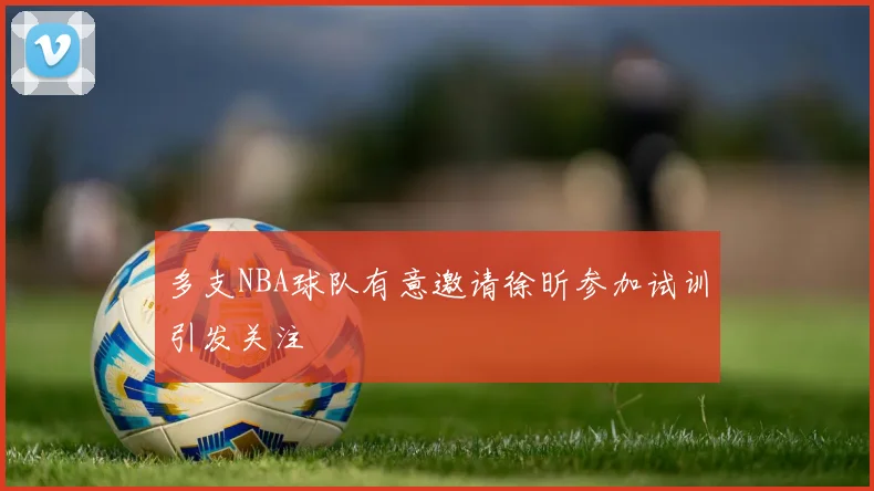 多支NBA球队有意邀请徐昕参加试训引发关注